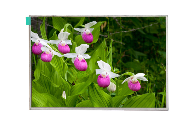 8英寸tft液晶顯示屏tn型的特點(diǎn) 8英寸tft液晶顯示屏tn型的特點(diǎn)