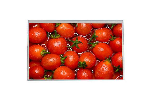 8寸TFT-LCD液晶屏的技術(shù)特點、應(yīng)用領(lǐng)域以及未來發(fā)展趨勢