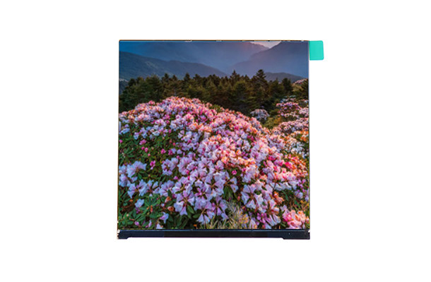 3.95寸480*480 IPS方屏：規(guī)格、性能與應(yīng)用領(lǐng)域詳解